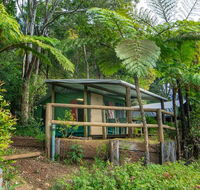 Binna Burra Rainforest Campsite - Accommodation Main Beach