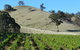 Blue House At Mountainside Wines - thumb 3