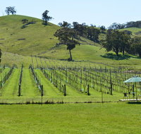 Blue House at Mountainside Wines - Accommodation Main Beach