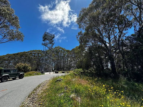 Tiny House At Gilderoy Valley Views - Accommodation Main Beach 1