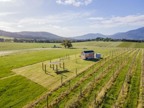 Warburton Tiny House - Tiny Stays - Accommodation Main Beach 2