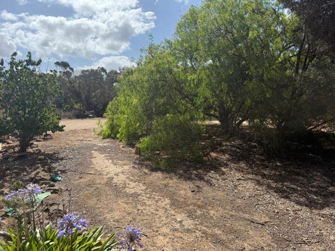 Woody House - Accommodation Main Beach 2