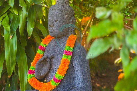 Zenhouse: 6-BR Balinese Tropical Oasis In Nightcliff Central - Accommodation Main Beach 3