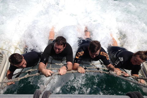 Cruise In Moreton Bay Marine Park And Moreton Island - Accommodation Main Beach 0