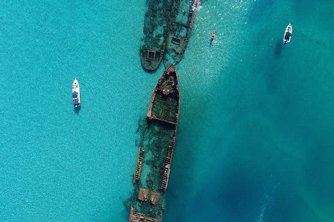 Cruise In Moreton Bay Marine Park And Moreton Island - Accommodation Main Beach 1