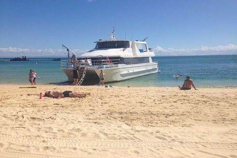 Cruise In Moreton Bay Marine Park And Moreton Island - Accommodation Main Beach 4