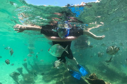 Cruise In Moreton Bay Marine Park And Moreton Island - Accommodation Main Beach 5