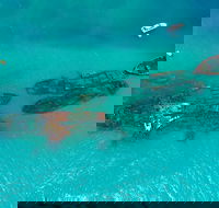 Private Tangalooma Wrecks Tour - Accommodation Main Beach