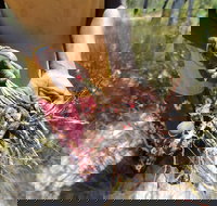 Gay-Wu Woman's 5 Day Yolngu Homeland Tour - Accommodation Main Beach