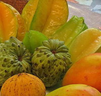 Private Half Day Tour Exclusive World Heritage Rainforest and Waterfall Tour from Cairns - Accommodation Main Beach