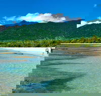 5-Day Best of Cairns with Daintree Kuranda and Great Barrier Reef - Accommodation Main Beach