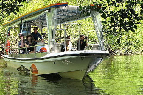 5-Day Best Of Cairns With Daintree, Kuranda, And Great Barrier Reef - Accommodation Main Beach 1