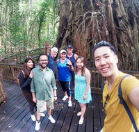 Cairns 4WD Waterfall and Rainforest Tour Including Kuranda Scenic Railway - Accommodation Main Beach