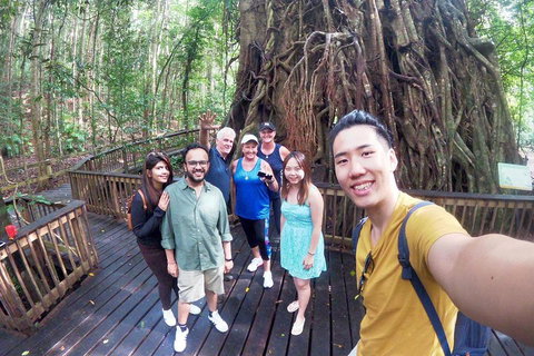 Cairns 4WD Waterfall And Rainforest Tour Including Kuranda Scenic Railway - Accommodation Main Beach 0