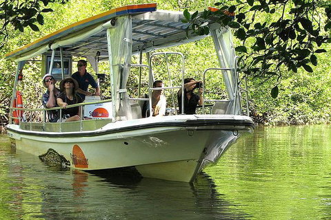 3-Day Best Of Cairns Combo: The Daintree Rainforest, Great Barrier Reef, And Kuranda - Accommodation Main Beach 4