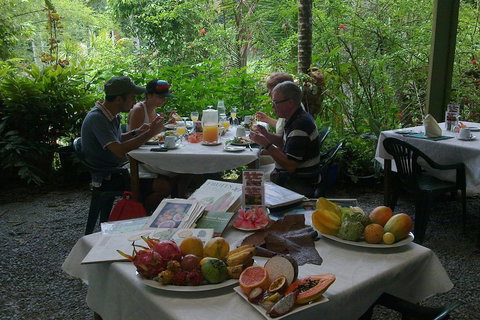 3-Day Best Of Cairns Combo: The Daintree Rainforest, Great Barrier Reef, And Kuranda - Accommodation Main Beach 5