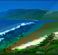 Cairns Reef and Rainforest Combo Daintree Rainforest and the Great Barrier Reef - Accommodation Main Beach