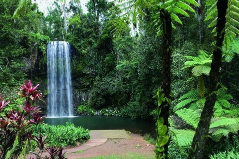 Paronella Park And Millaa Millaa Falls Full-day Tour From Cairns - Accommodation Main Beach 3