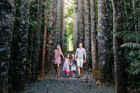 Paronella Park And Millaa Millaa Falls Full-day Tour From Cairns - Accommodation Main Beach 5