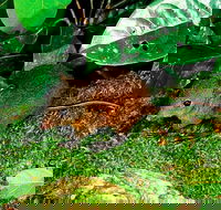 3-Day Small-Group Tour of North Queensland with Pick Up