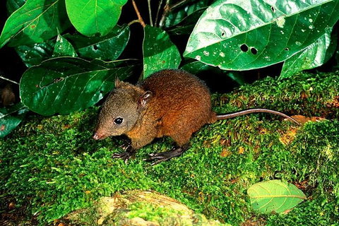 3-Day Small-Group Tour Of North Queensland With Pick Up - Accommodation Main Beach 0