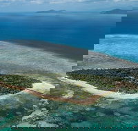 4-Day Cairns with Great Barrier Reef and Daintree Rainforest - Accommodation Main Beach