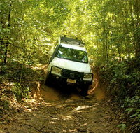 Cairns National Park Rainforest and Waterfall Small Group Tour Shore Excursion - Accommodation Main Beach