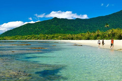 Private Daintree National Park Day Tour From Cairns Including Cape Tribulation And Mossman Gorge - Accommodation Main Beach 0