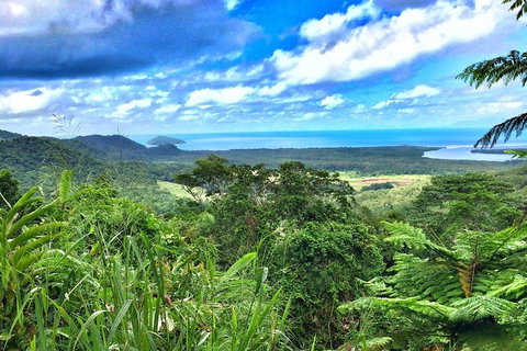 Private Daintree National Park Day Tour From Cairns Including Cape Tribulation And Mossman Gorge - Accommodation Main Beach 2