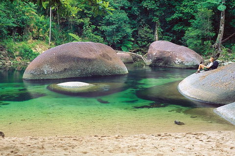 Private Daintree National Park Day Tour From Cairns Including Cape Tribulation And Mossman Gorge - Accommodation Main Beach 4