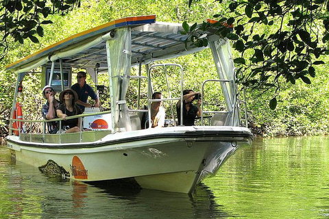 Private Daintree National Park Day Tour From Cairns Including Cape Tribulation And Mossman Gorge - Accommodation Main Beach 5