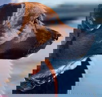 1.5-Hour Boat Rental in Melbourne - Accommodation Main Beach