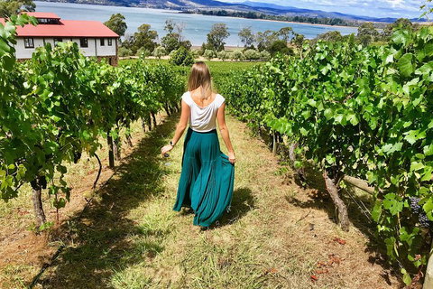 Tamar Valley Wine Tour With Lunch - Accommodation Main Beach 2