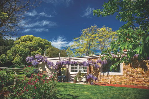 McLaren Vale Winery Small Group Tour With Wine Tasting And Lunch - Accommodation Main Beach 2