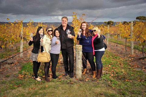 McLaren Vale Winery Small Group Tour With Wine Tasting And Lunch - Accommodation Main Beach 3