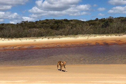 Pippies 3 Days 2 Nights Fraser Island Tour - Accommodation Main Beach 2