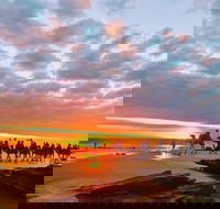 1 Hour Broome Sunset Camel Tour - Accommodation Main Beach