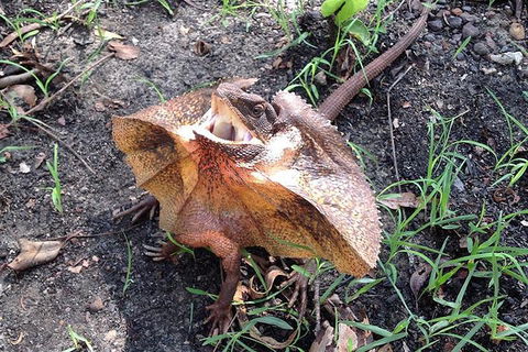 Litchfield National Park And Jumping Crocodile Cruise - Accommodation Main Beach 1