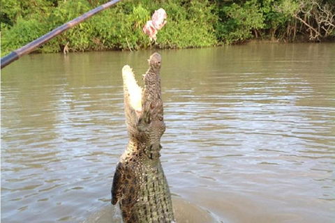 Litchfield National Park And Jumping Crocodile Cruise - Accommodation Main Beach 2
