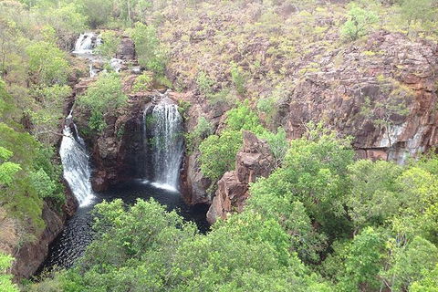 Litchfield National Park And Jumping Crocodile Cruise - Accommodation Main Beach 4