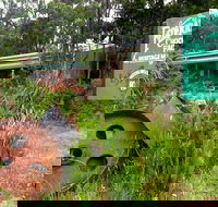 Port Arthur Richmond and Tasman Peninsula Day Trip from Hobart - Accommodation Main Beach