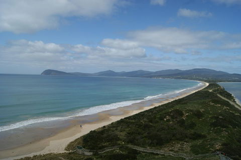 7-Day Best Of Tasmania Adventure Experience From Hobart (flexible Ticket) - Accommodation Main Beach 2