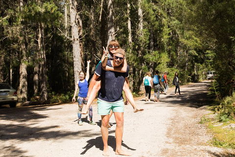 7-Day Best Of Tasmania Adventure Experience From Hobart (flexible Ticket) - Accommodation Main Beach 5