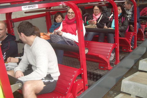 Full-Day Private Blue Mountains Tour With River Cruise - Accommodation Main Beach 0