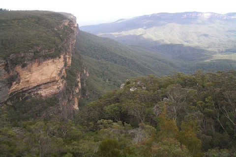 Full-Day Private Blue Mountains Tour With River Cruise - Accommodation Main Beach 3