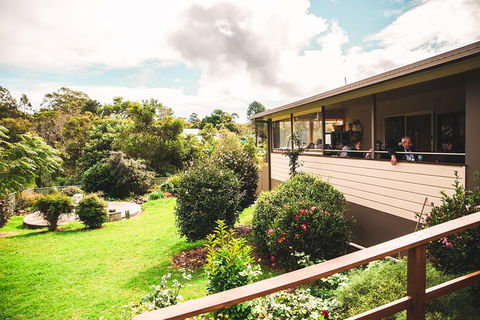 Full-day Springbrook National Park Tour From The Gold Coast - Accommodation Main Beach 2