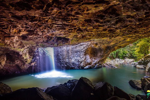 Full-day Springbrook National Park Tour From The Gold Coast - Accommodation Main Beach 3