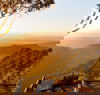 O'Reilly's  Lamington National Park incl. Alpaca Farm  Vineyard - Accommodation Main Beach