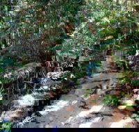 Fraser Island 4WD Tour from Rainbow Beach - Accommodation Main Beach