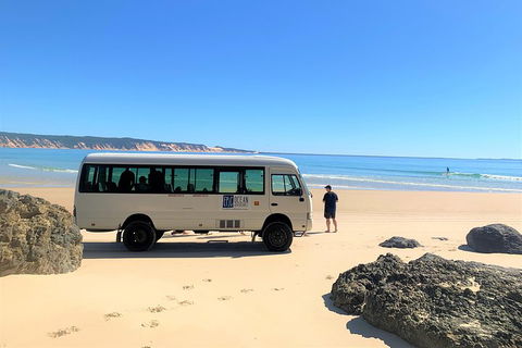 Kayak With Dolphins And 4WD Great Beach Drive Day Trip From Noosa - Accommodation Main Beach 4